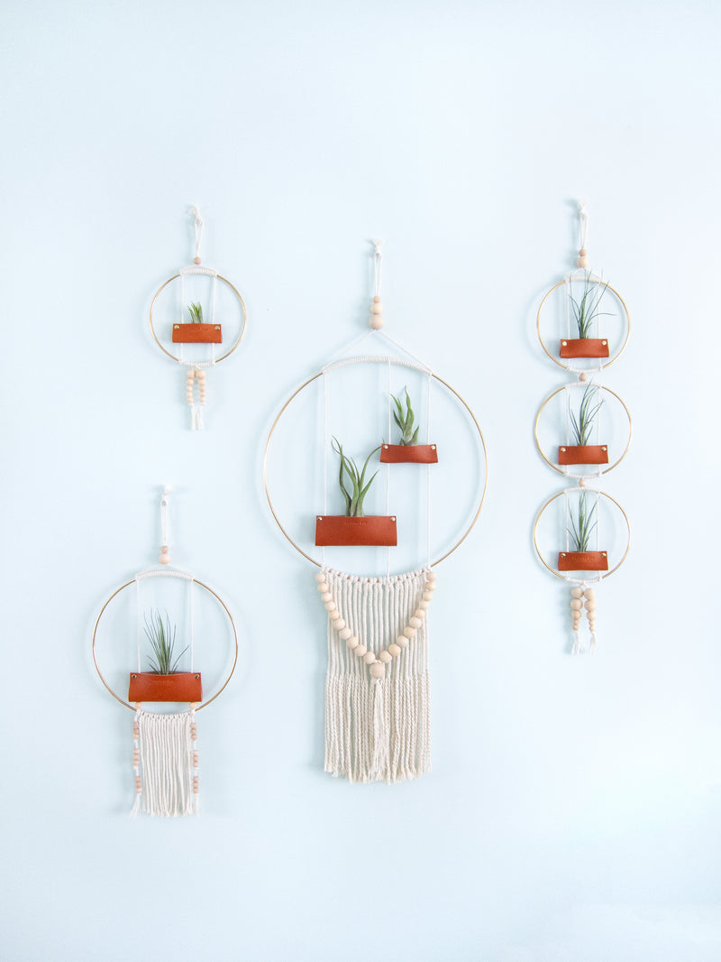 macrame plant wall hanging Air Plant Wall Hanging – Passage One